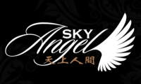 Sky Angel Company Logo