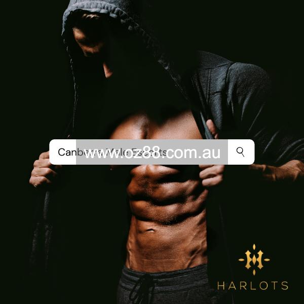 Canberra Male Escorts  Business ID： B3361 Picture 1