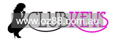 CLUB KEYS  Business ID： B380 Picture 1