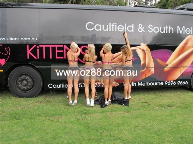 Kittens Stripclub Melbourne  Business ID： B576 Picture 5