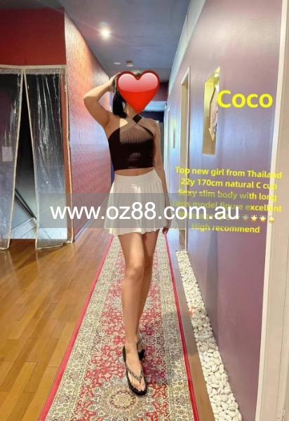 Coco | Sydney Girl Massage  Business ID： B3446 Picture 1