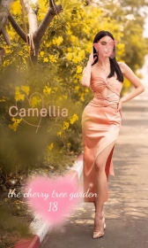 Camilla - The Cherry Tree Garden thumbnail version 1